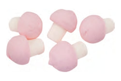 Haugen Group Haugens Foamy Mushrooms 0,90 kg