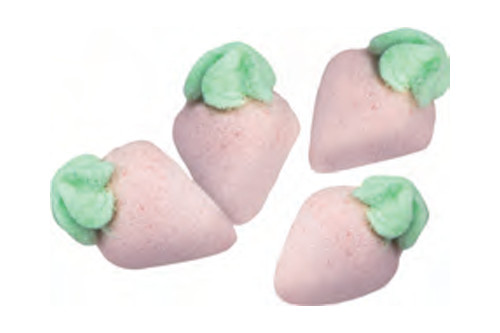 Haugen Group Haugens Foamy Sour Guys 0,90 kg