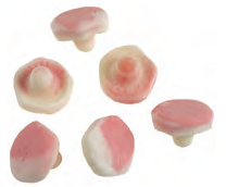 Dals Konfektyr Dals Fruit Mushrooms 1,80 kg