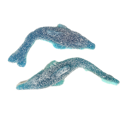 Jellioo Big Sour Dolphin 2.20 lbs