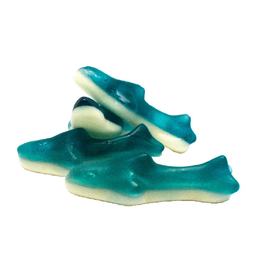 Jellioo Sharks 1,00 kg
